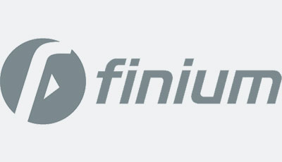 Finium wall covering